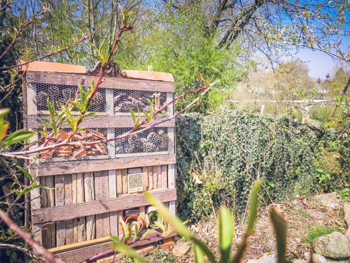 Appartement Domaine des fées à La Gaubretiere Extérieur photo
